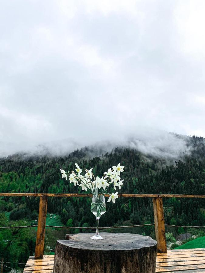 Mitarbi Silence - Cozy Holiday Cottages In Mountains Borjomi Ngoại thất bức ảnh
