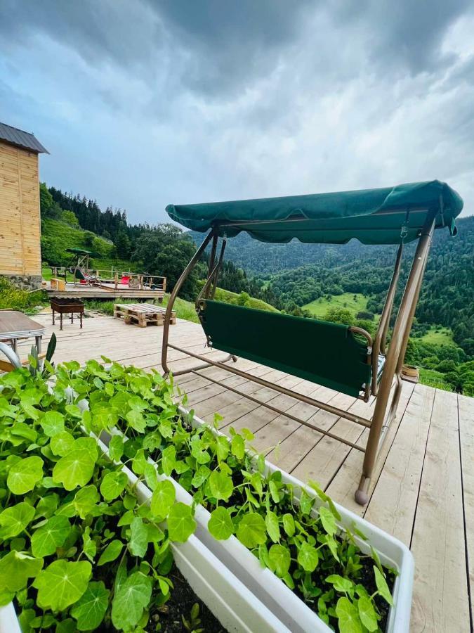 Mitarbi Silence - Cozy Holiday Cottages In Mountains Borjomi Ngoại thất bức ảnh