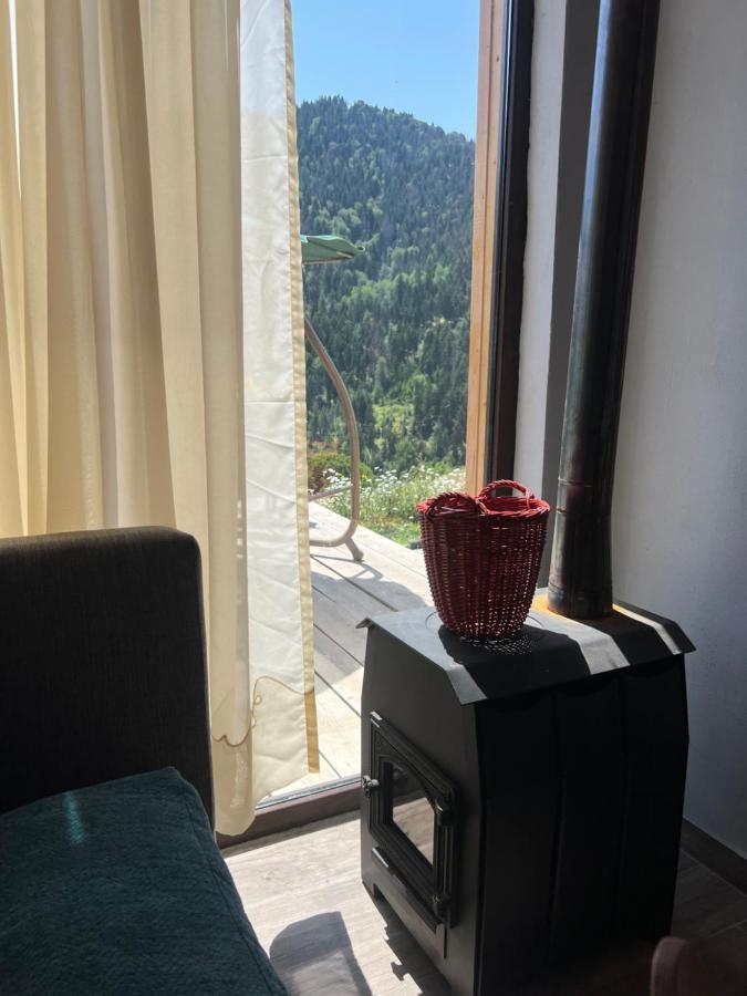 Mitarbi Silence - Cozy Holiday Cottages In Mountains Borjomi Ngoại thất bức ảnh