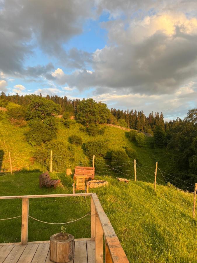 Mitarbi Silence - Cozy Holiday Cottages In Mountains Borjomi Ngoại thất bức ảnh